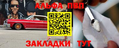 стаф Донской