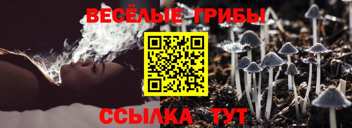 Псилоцибиновые грибы мухоморы Нерюнгри