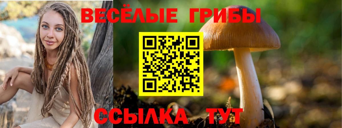 Нерюнгри  Галлюциногенные грибы Psilocybe  Вход с VPN 