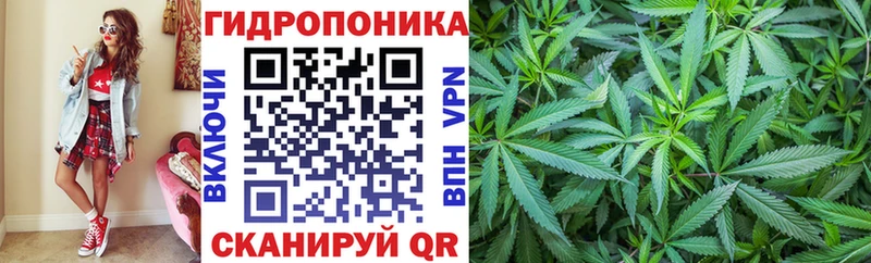 гидра маркетплейс  Нерюнгри  Конопля марихуана 